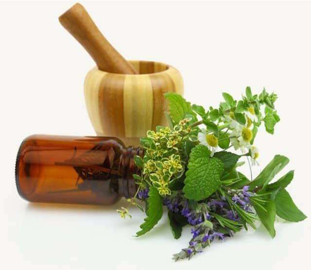 Kräuter und Handmörser