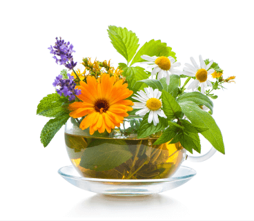 Kräutertee dekorativ zubereitet