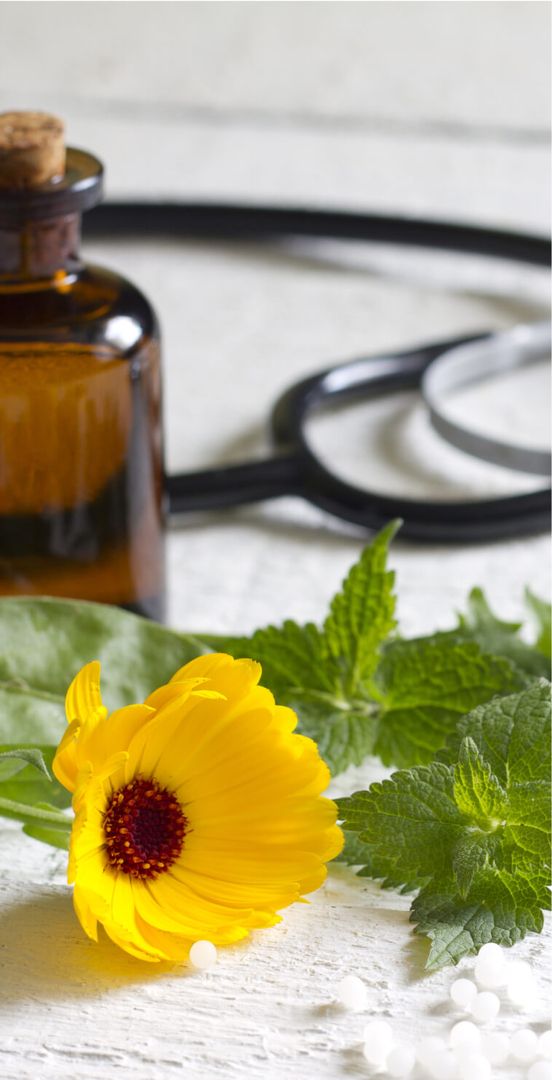 Kräuter und Pflanzen